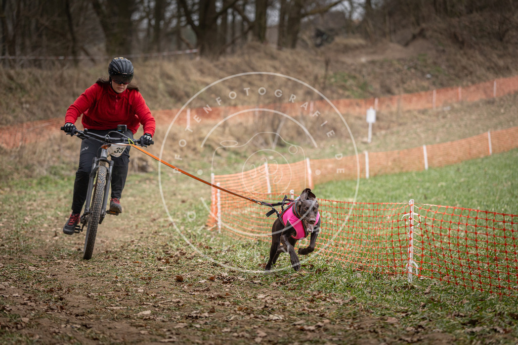 Pfotenfotografie_DV3A5130 | Hundefotografie, Tierfotograf, Pfotenfotografie, Fotoshooting Hund, Hunde Portrait, Hundesport, Hundeportraits, Heideshooting, Hunde, Sportfotograf, Hundefotograf, Turnierhundsport, THS,  - Realisiert mit Pictrs.com