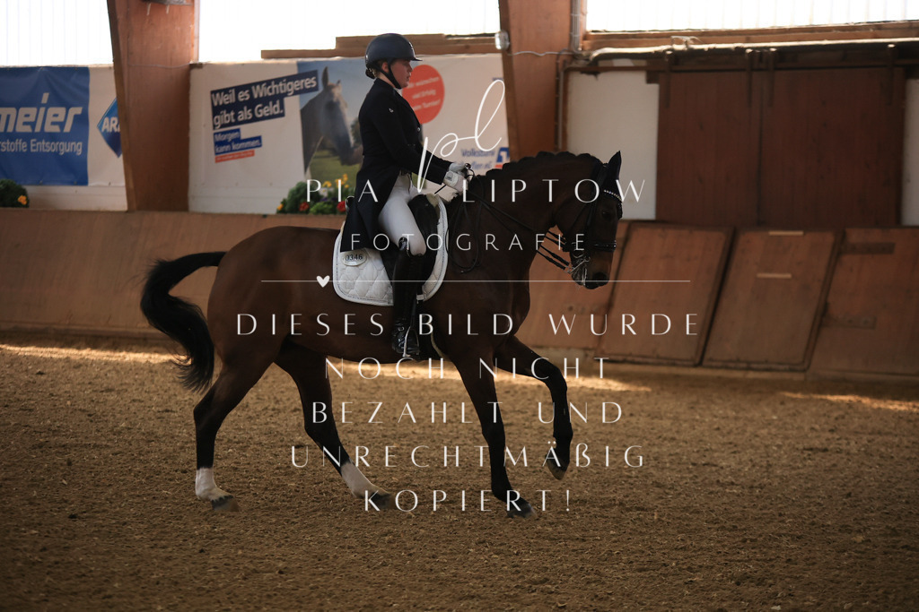 IMGT4039 | pl-fotografie