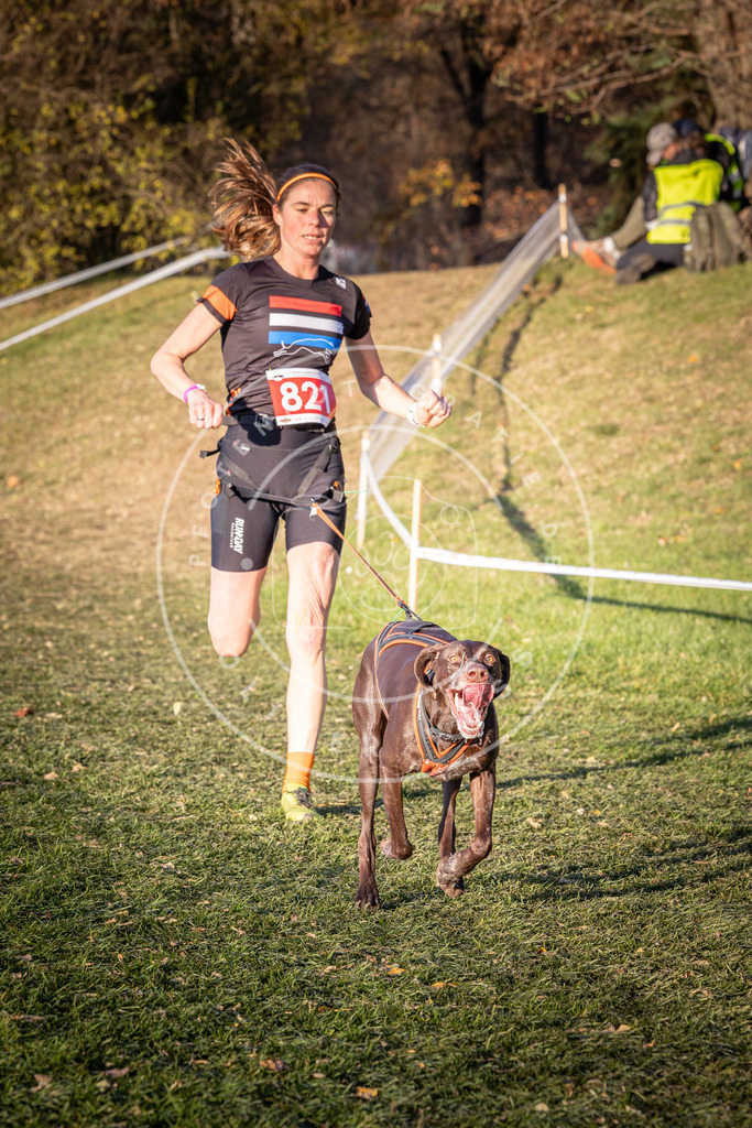 CaniXpix_0L8A0537 | Hundefotografie, Tierfotograf, Pfotenfotografie, Fotoshooting Hund, Hunde Portrait, Hundesport, Hundeportraits, Heideshooting, Hunde, Sportfotograf, Hundefotograf, Turnierhundsport, THS,  - Realisiert mit Pictrs.com