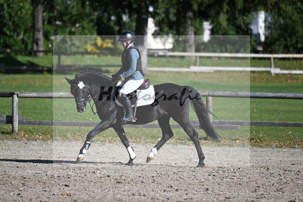 Kat-Nr. 12 Manhattans Highlight v. Manhattan Love Story_Agrar GmbH Crawinkel_43250560 | hf-fotografie - Realisiert mit Pictrs.com