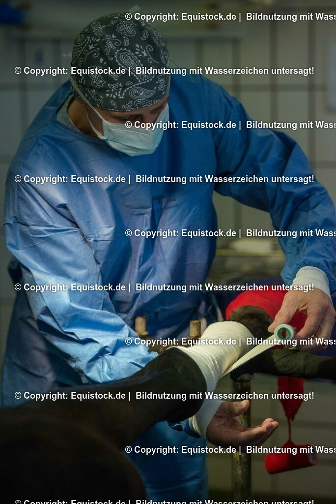 20160309_Sehnenschnitt_OP__0049 | equistock