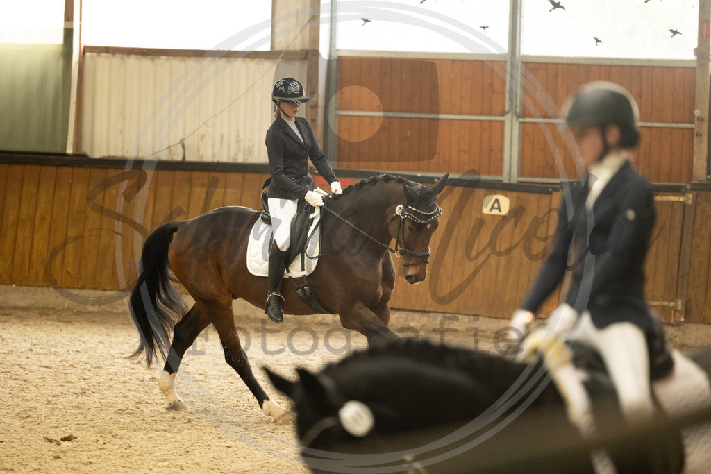 994A4811 | sabrinanicolaifotografie - Realisiert mit Pictrs.com