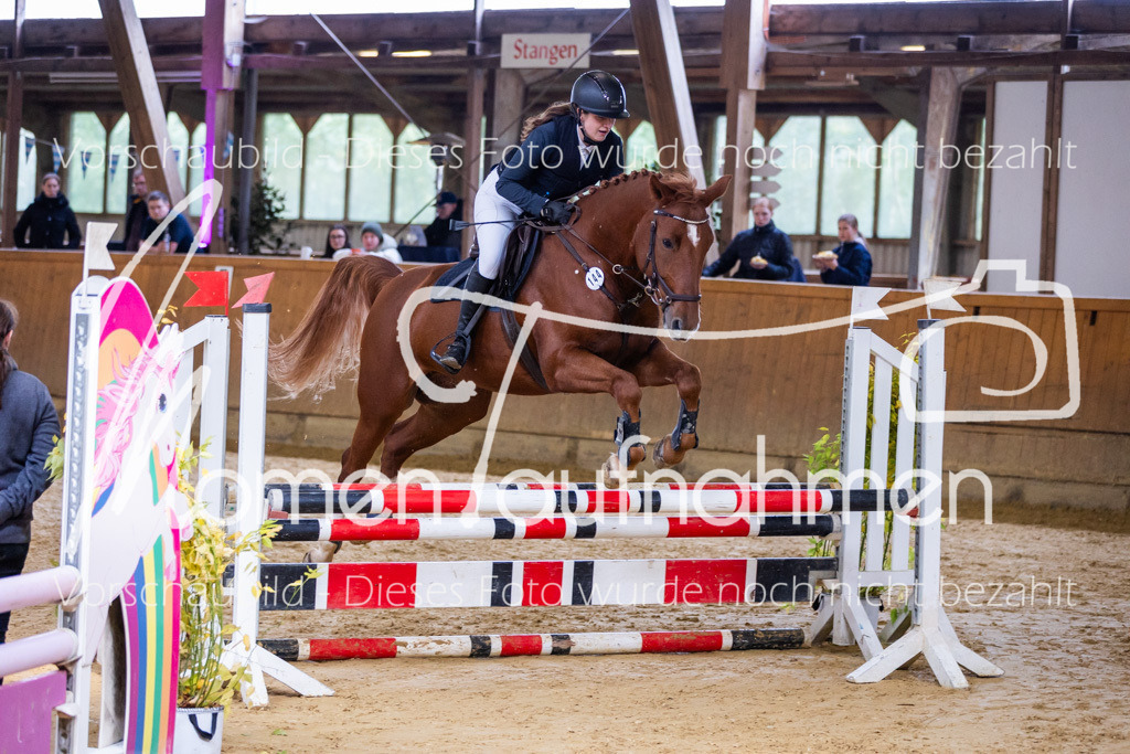 Sth-A-Springen-036 | MomenTaufnahmen Pferdesportfotos