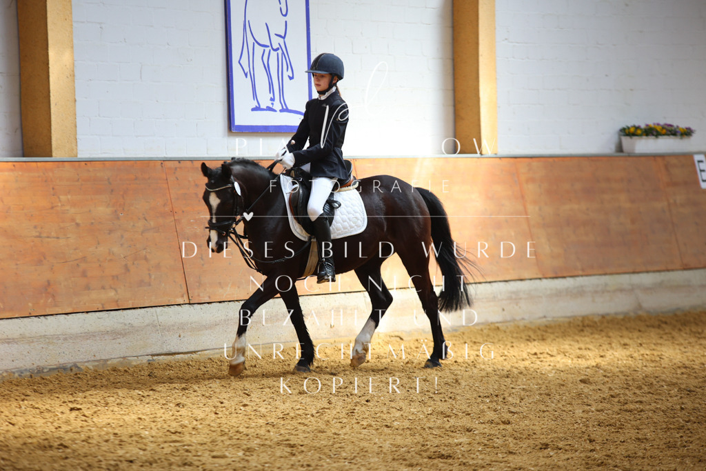 IMGT3648 | pl-fotografie