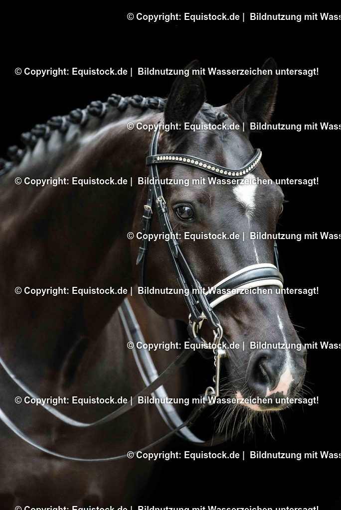 TS_20170602_Rappe_schwarzer_Hintergrund_0001 | Foto: Thomas Hartig