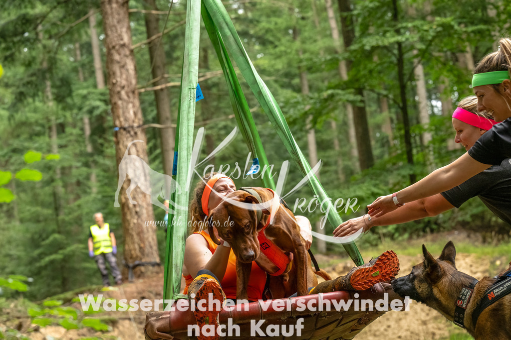 1315_ZZ92330-Bearbeitet | kk-dogfotos