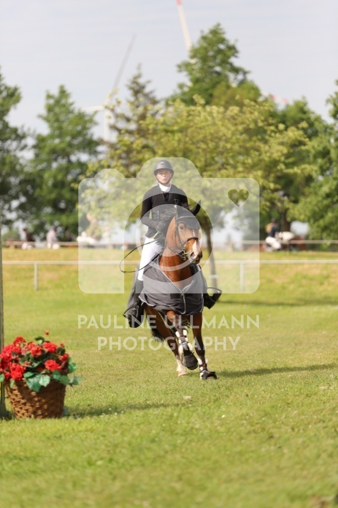 IMG_6999 | Pauline Ullmann Photography - Realisiert mit Pictrs.com