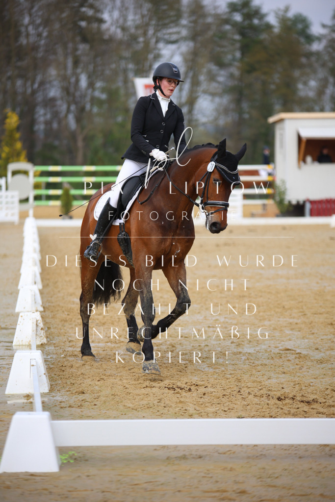 IMGT8254 | pl-fotografie