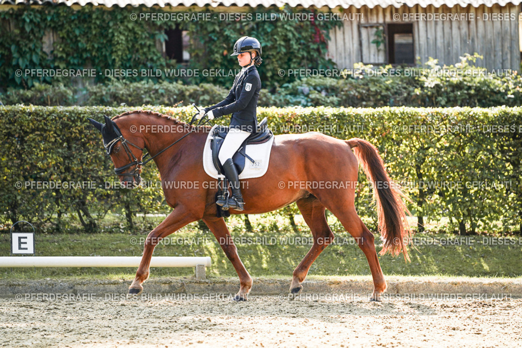 DSC08489 | Pferdegrafie