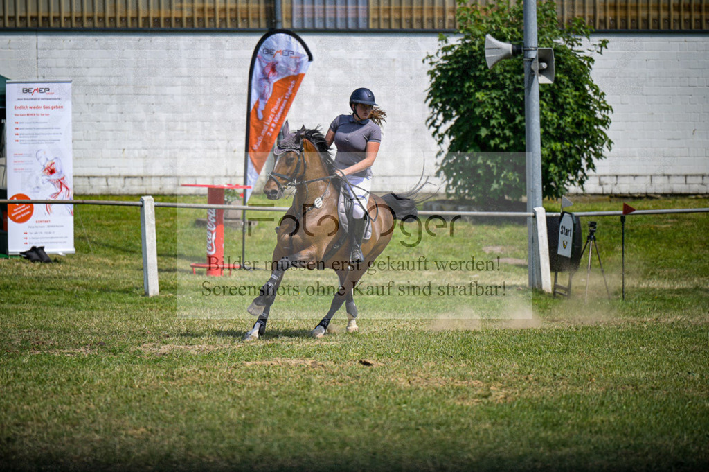Reitturnier Voxtrup | Entdecke hochwertige Reitturnierfotos von Foto Oger. Professionell, emotional und authentisch – jetzt Lieblingsmomente im Shop bestellen.Deutschlandweite Turnierfotografie. - Realisiert mit Pictrs.com