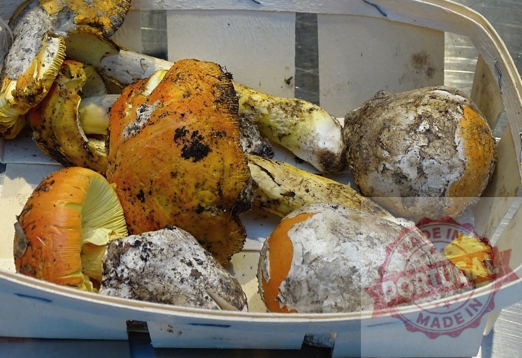 Amanita caesarea mushrooms harvested in wooden basket | Foraged gourmet Caesar's mushrooms, some still encasing, resting in a light wood basket - Realized with Pictrs.com