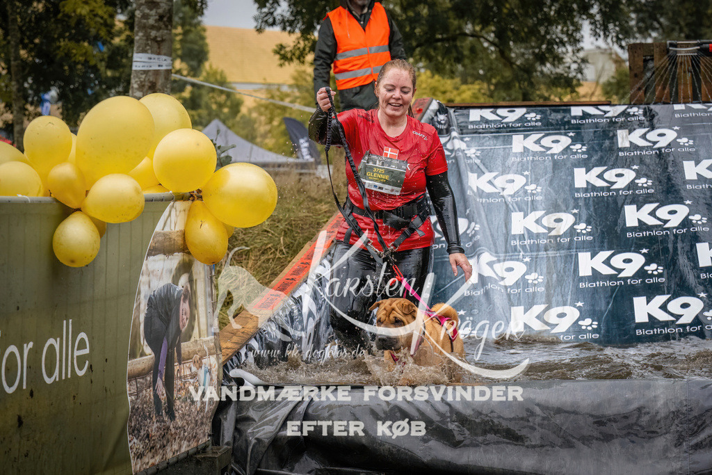 1237_ZZ90349 | kk-dogfotos