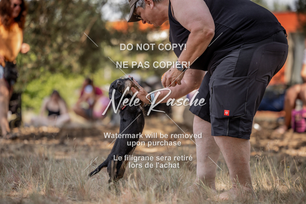 nelerasche_soDD2_24 | nelerasche