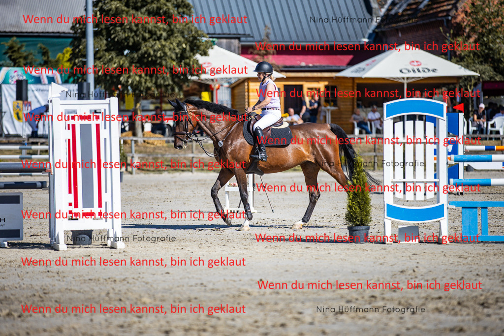 BK1A5773 | Turnierbilder Turnierfotos Nina Hüffmann Turnierfotografie Pferdefotografie Tierzeichnung Haustierzeichnung Pferdezeichnung Hundezeichnung Videograf  - Realisiert mit Pictrs.com