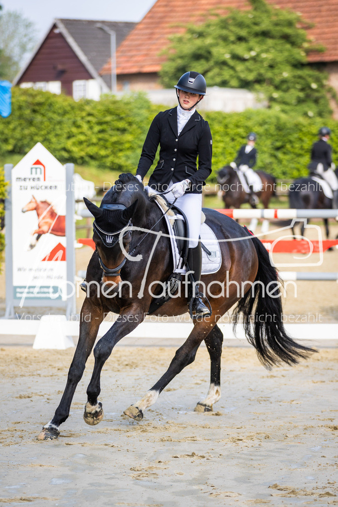 Donop24-A-Dre-061 | MomenTaufnahmen Pferdesportfotos