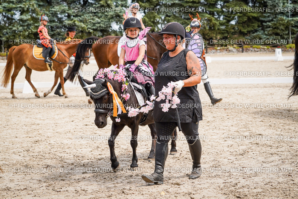 DSC03247 | Pferdegrafie