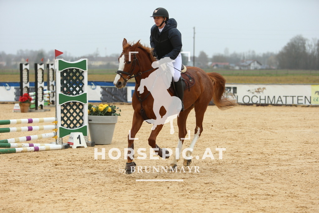 DL2Q1179 | Willkommen bei Brunnmayr - Design & Fotografie – Ihrem Spezialisten für Reitturniere und Pferdeveranstaltungen in Oberösterreich, Salzburg und Bayern! Seit über 17 Jahren sind wir leidenschaftlich dabei.