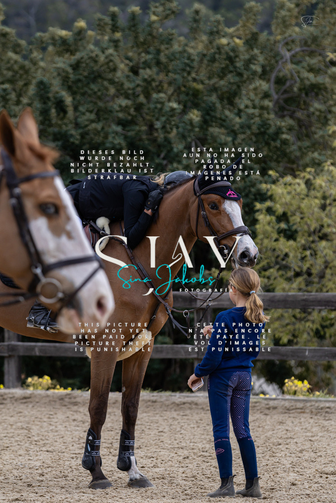 IMG_4914 | s-jay-photography - Realisiert mit Pictrs.com