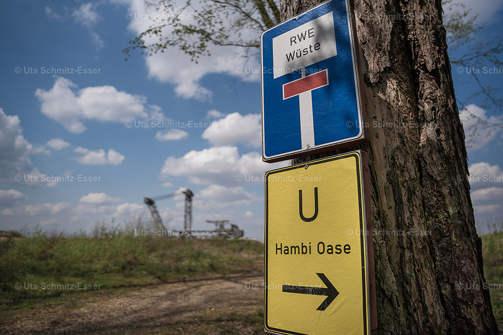 Hambacher-Forst_03 | CEUS Design - Realisiert mit Pictrs.com