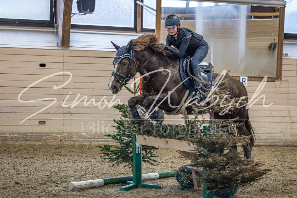 20260222-_3LI1367 | Tierfotografie Pferde, Hunde, Katzen, Haustiere.
Turnierfotografie Reitturniere, Reiten, Springreiten, Dressur in Hanau, dem Main-Kinzig-Kreis und dem Rhein-Main- Gebiet um Frankfurt