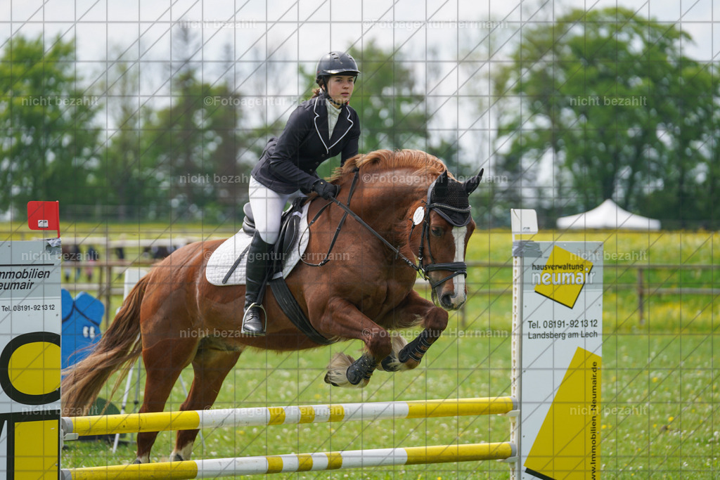 20240509-FAH02831 | Turnierbilder der Turnierfotografen Bayern, Pferdesport Fotografie, Reitsportbilder, Turnier Landberg am Lech, Turnierbilder bayern, Fotoagentur Herrmann