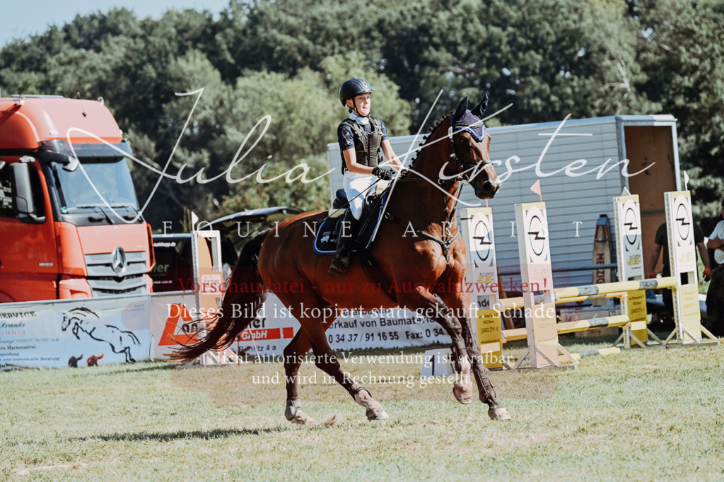 DSC_6606 | Pferde- und Turnierfotografie in Westsachsen. Pferdeportraits, Auftragszeichnungen und intuitive Kunst.
