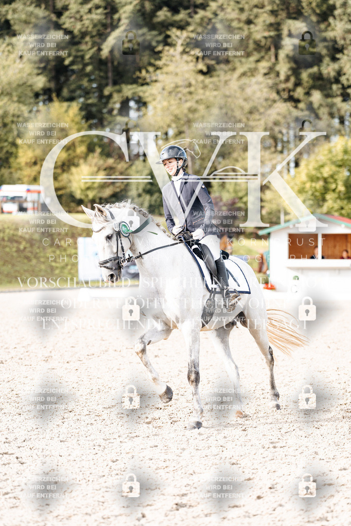 CK901395 | Turnierfotografie Pferdefotografie Trier Rheinland-Pfalz Pferdesport Reitsport Tierfotografie Sportfotografie Pferdevideo Pferdevideografie Equestrianvideography equestrianphotography  - Realisiert mit Pictrs.com