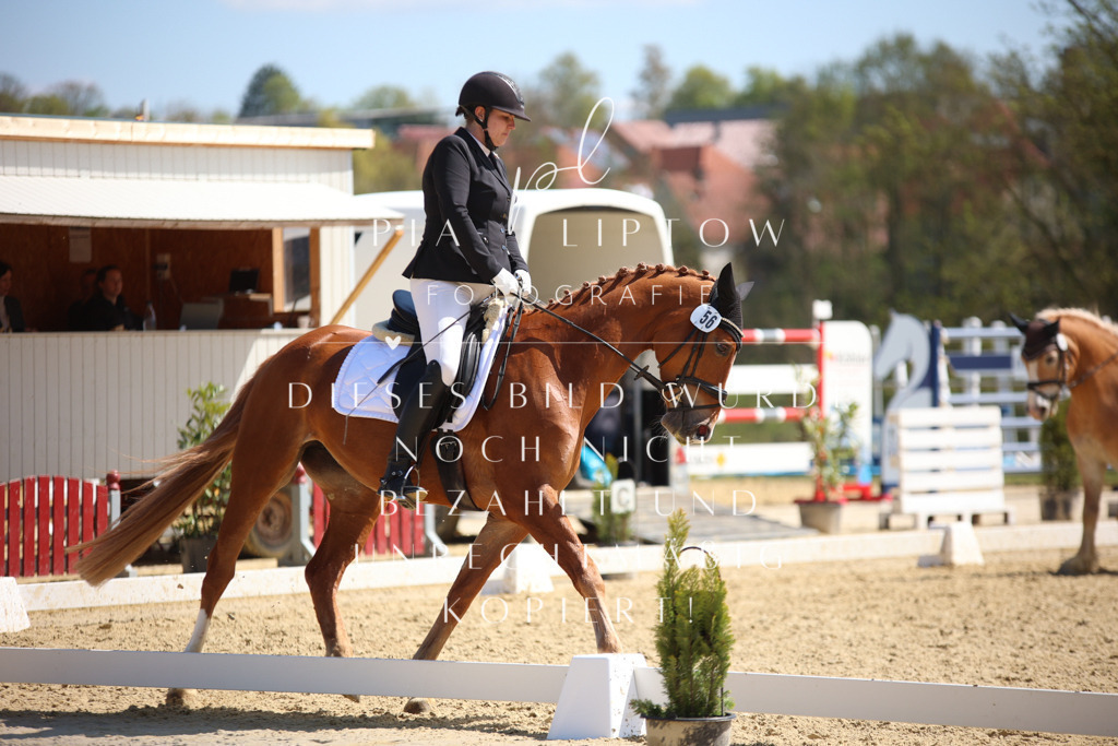 IMGT2162 | pl-fotografie