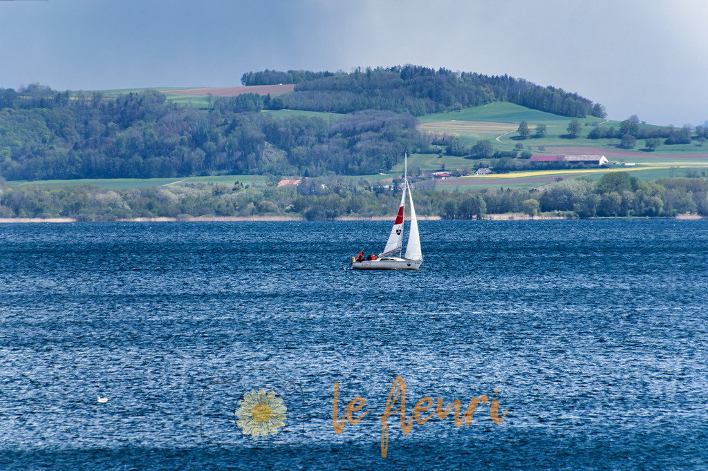 DSC_0049-NEF_DxO_DeepPRIME (1) | Dies ist der Shop von Florian Blum - le fleuri. Langenthal, Bern, SchweizSie können hier meine oder ihre eigenen Fotos als Fotoprodukte kaufen. Tassen, Schlüsselanhänger, Taschen etc. können Sie hier gestalten.  - Realisiert mit Pictrs.com