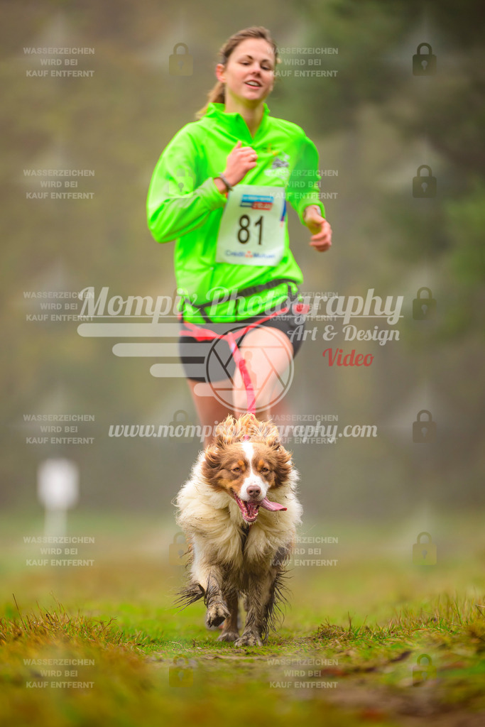 MompixPhotography_Bischwiller2025_Canicross-88 | mompixphotography
