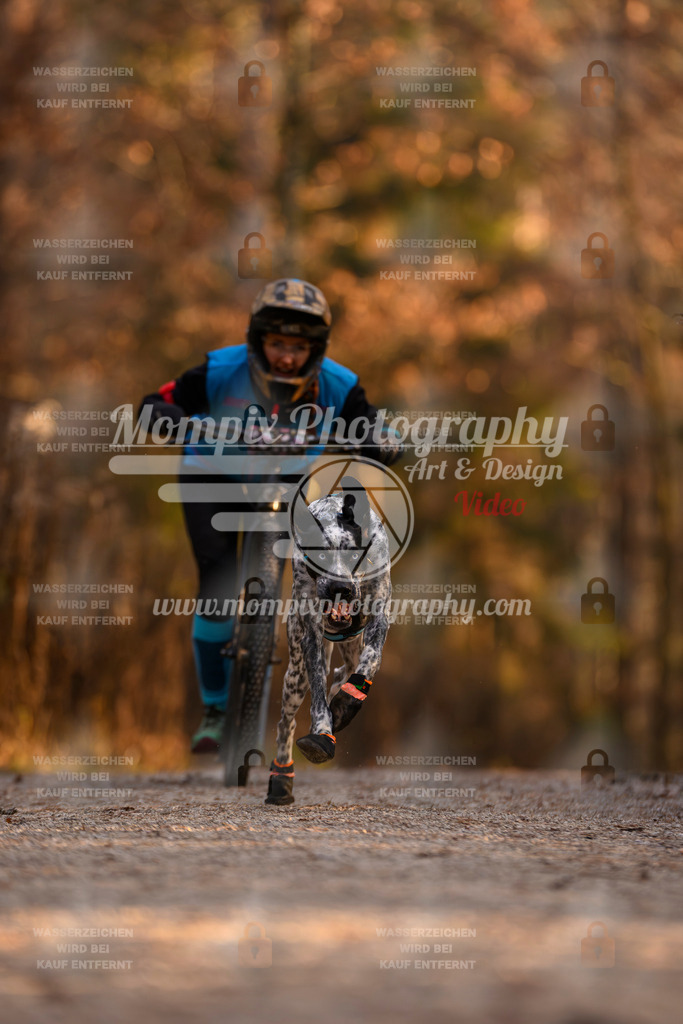 MompixPhotography_DM_AKDM_SO_2025_Scooter-90 | PayLife