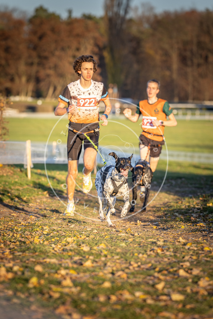 CaniXpix_DV3A4957 | Hundefotografie, Tierfotograf, Pfotenfotografie, Fotoshooting Hund, Hunde Portrait, Hundesport, Hundeportraits, Heideshooting, Hunde, Sportfotograf, Hundefotograf, Turnierhundsport, THS,  - Realisiert mit Pictrs.com