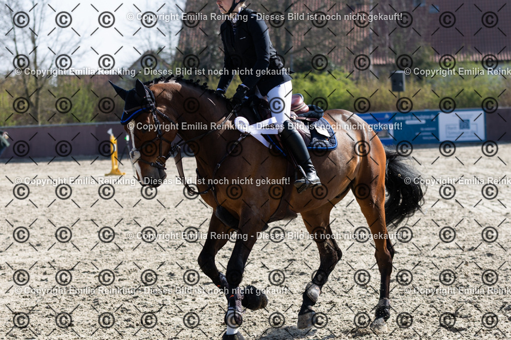 CL5A5297 | Emilia Reinking Fotografie - Realisiert mit Pictrs.com