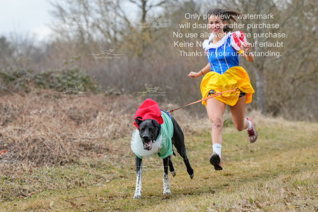 Fasching-3 | stephaniefillaphotographie - Realisiert mit Pictrs.com