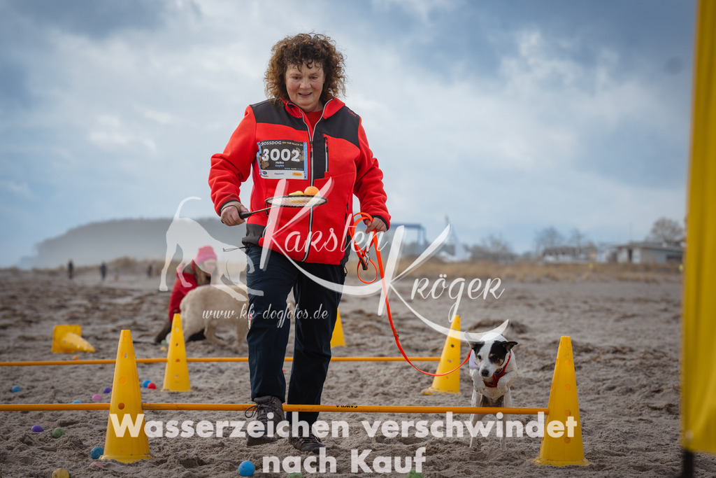 1209_ZZ94352 | kk-dogfotos