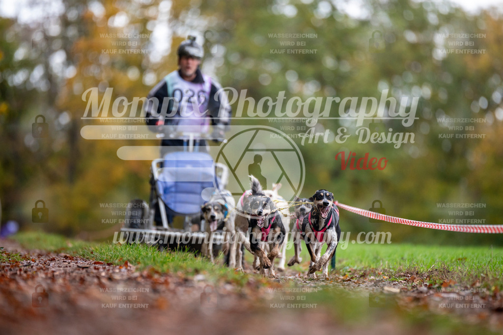DBT_DAKM_SA_4_11_2023_Kart-2 | PayLife