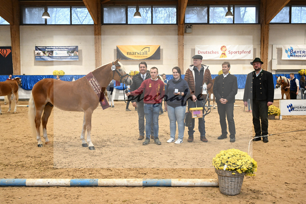 Kat-Nr. 34 nn v. Starino I_Grimminger_48254231 | hf-fotografie - Realisiert mit Pictrs.com