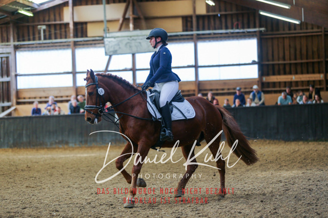 IMG_0916 | Turniersportfotografie; Pferdefotografie; Dressurfotografie