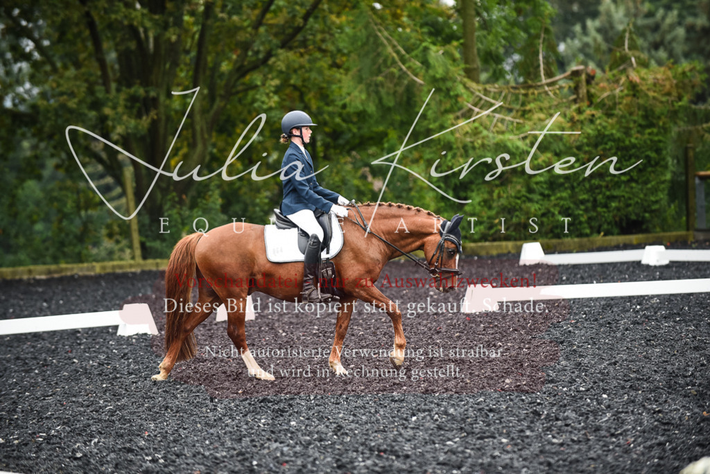 DSC_2835 | Pferde- und Turnierfotografie in Westsachsen. Pferdeportraits, Auftragszeichnungen und intuitive Kunst.