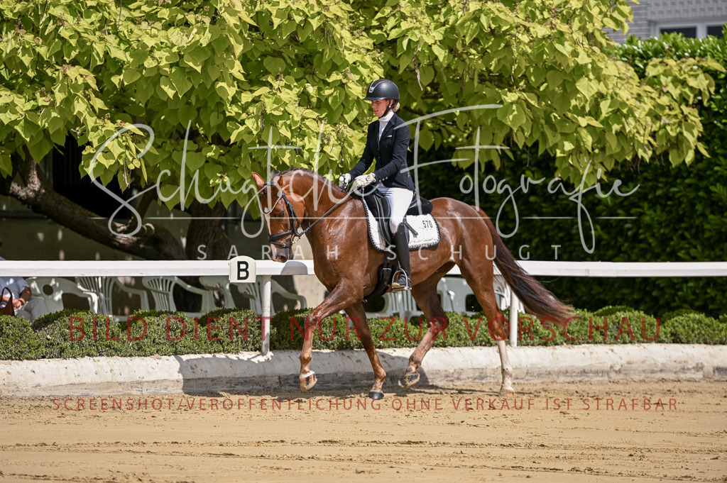 Schugtsche-Aluta25-48.Reitpferfdeprf.-74 | Schugtsche Fotografie - Realizzato con Pictrs.com