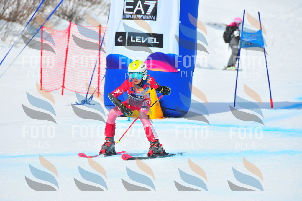 DSC_6517 | holidayphoto