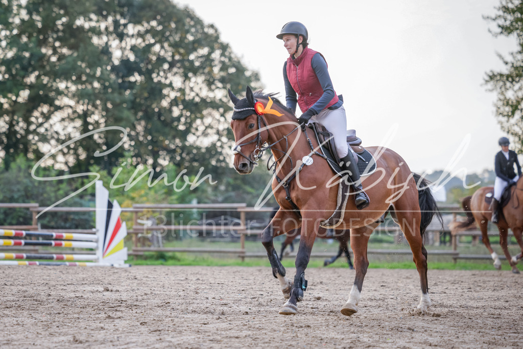 20251012-_3LI5964 | Tierfotografie Pferde, Hunde, Katzen, Haustiere.
Turnierfotografie Reitturniere, Reiten, Springreiten, Dressur in Hanau, dem Main-Kinzig-Kreis und dem Rhein-Main- Gebiet um Frankfurt