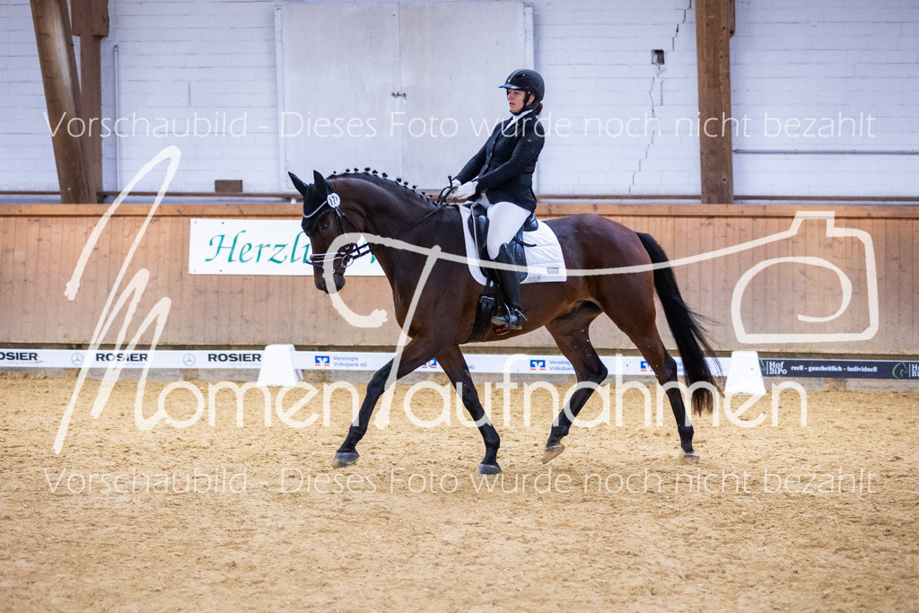 Sth-A-Dre-2St-005 | MomenTaufnahmen Pferdesportfotos