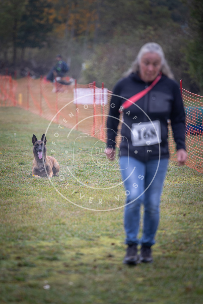 Pfotenfotografie_DV3A9039 | Hundefotografie, Tierfotograf, Pfotenfotografie, Fotoshooting Hund, Hunde Portrait, Hundesport, Hundeportraits, Heideshooting, Hunde, Sportfotograf, Hundefotograf, Turnierhundsport, THS,  - Realisiert mit Pictrs.com