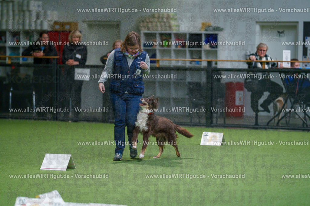 7R504226 | Professionelle Tierfotografie in Mönchengladbach von Daniel Wirth (allesWIRTHgut). Liebevolle & natürliche Bilder von Hunden & Katzen für unvergessliche Erinnerungen.