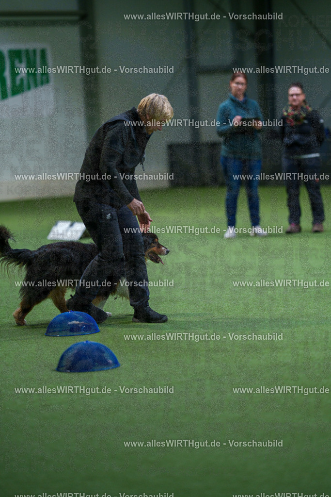 7R506069 | Professionelle Tierfotografie in Mönchengladbach von Daniel Wirth (allesWIRTHgut). Liebevolle & natürliche Bilder von Hunden & Katzen für unvergessliche Erinnerungen.