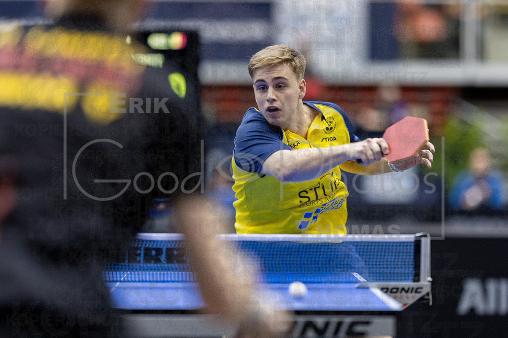 European_Championships_2024-10-17_182 | good-photos - Realisiert mit Pictrs.com
