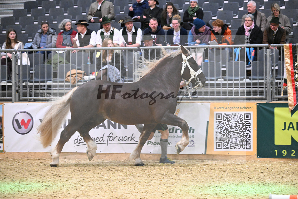 Kat-Nr. 10 Vlado v. Verry_Kotz_1260180 | hf-fotografie - Realisiert mit Pictrs.com