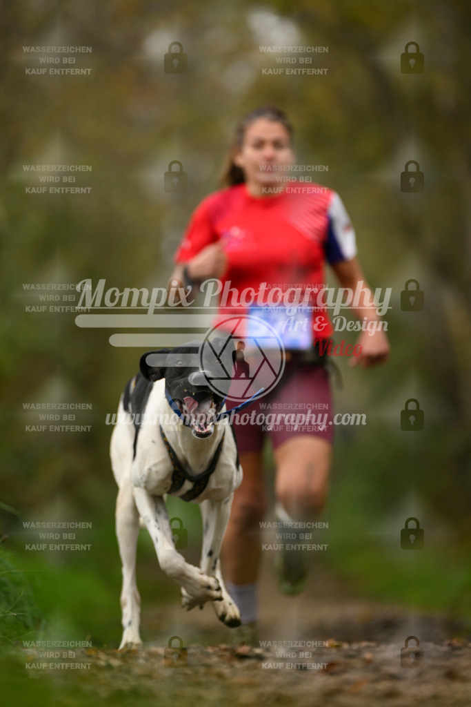 MompixPhotography_20TSB_E6_Run-54 | PayLife