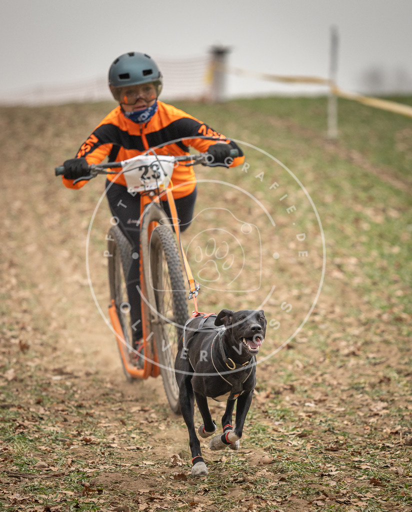 Pfotenfotografie_DV3A3740 | Hundefotografie, Tierfotograf, Pfotenfotografie, Fotoshooting Hund, Hunde Portrait, Hundesport, Hundeportraits, Heideshooting, Hunde, Sportfotograf, Hundefotograf, Turnierhundsport, THS,  - Realisiert mit Pictrs.com